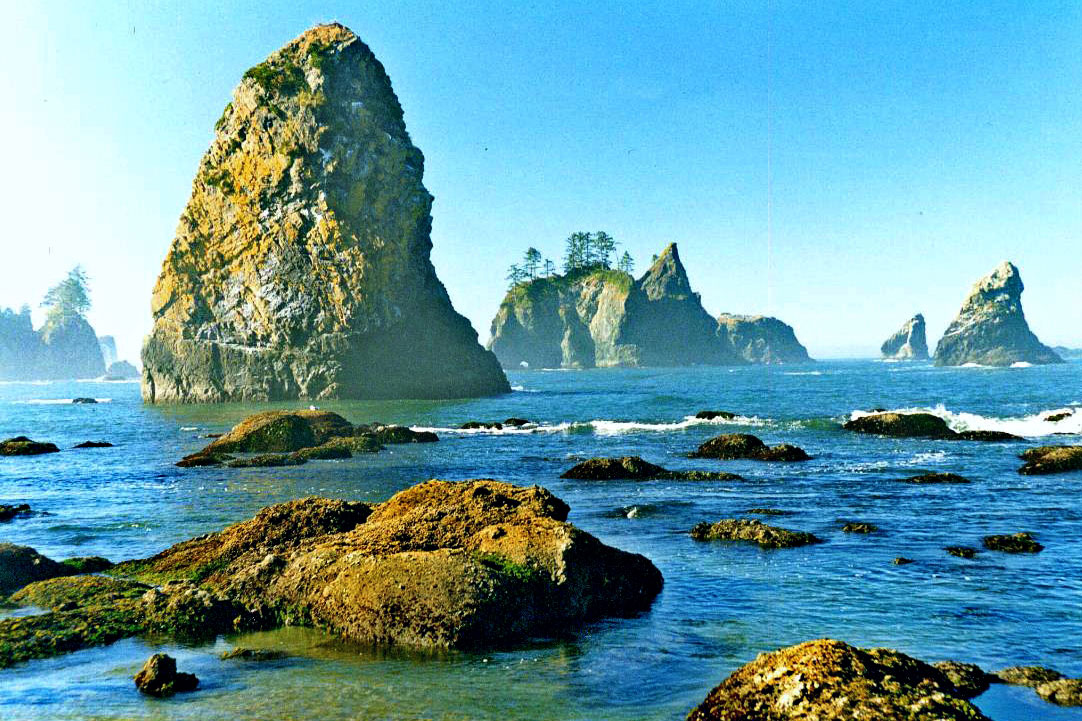 Photo of Olympic National Park